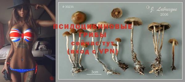 молекула духа Богородск