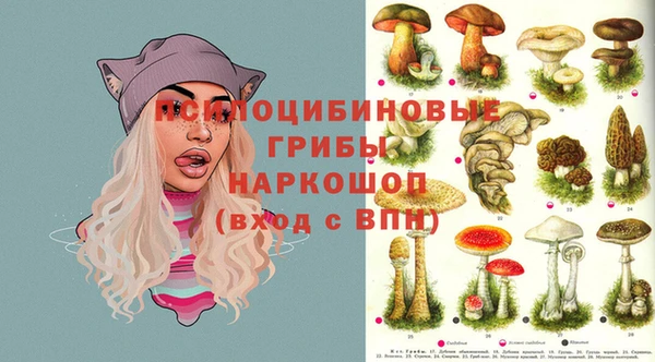 МДПВ Богородицк