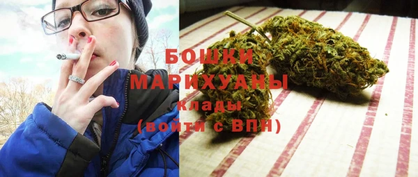 МДПВ Богородицк