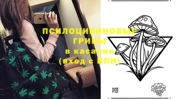 молекула духа Богородск