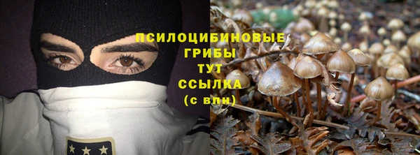 МДПВ Богородицк