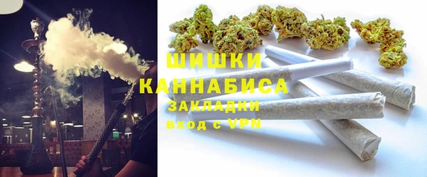 молекула духа Богородск