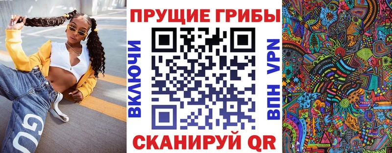 Купить  Колпашево  Галлюциногенные грибы мицелий 